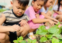 Độ tuổi nào phù hợp cho bé đi học mầm non?