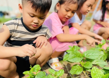 Độ tuổi nào phù hợp cho bé đi học mầm non?