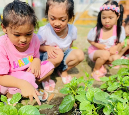 Hoạt Động Trải Nghiệm: Nhặt Rau Nấu Canh 