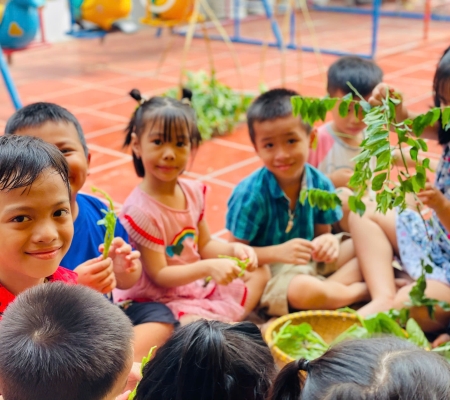 Hoạt Động Trải Nghiệm: Nhặt Rau Nấu Canh 