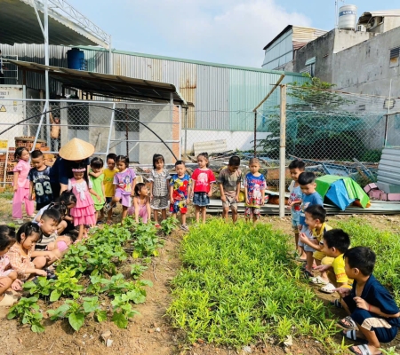 Hoạt Động Trải Nghiệm: Nhặt Rau Nấu Canh 