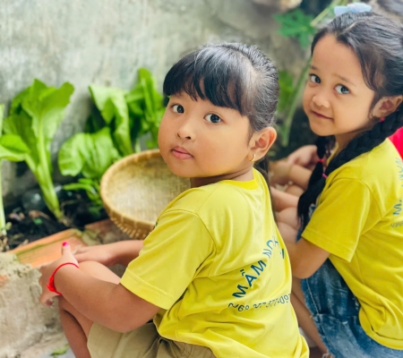 Hoạt Động Trải Nghiệm: Nhặt Rau Nấu Canh 