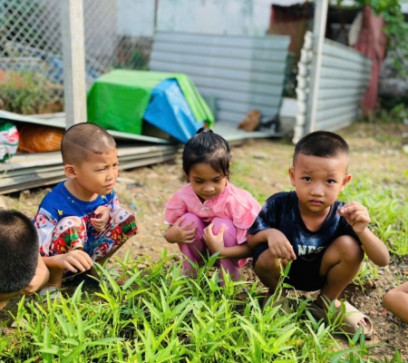 Hoạt Động Trải Nghiệm: Nhặt Rau Nấu Canh 