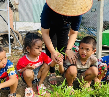 Hoạt Động Trải Nghiệm: Nhặt Rau Nấu Canh 