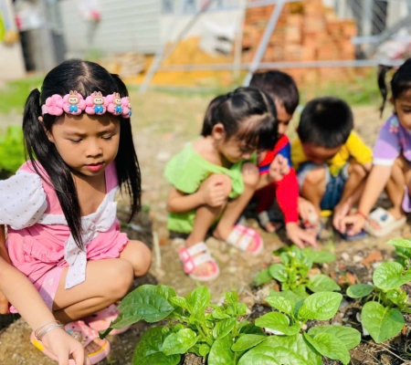 Hoạt Động Trải Nghiệm: Nhặt Rau Nấu Canh 