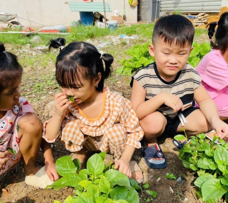 Hoạt Động Trải Nghiệm: Nhặt Rau Nấu Canh 