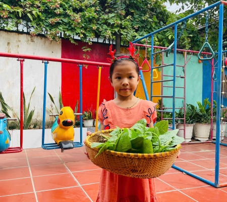 Hoạt Động Trải Nghiệm: Nhặt Rau Nấu Canh 