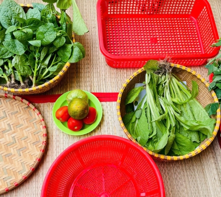 Hoạt Động Trải Nghiệm: Nhặt Rau Nấu Canh 